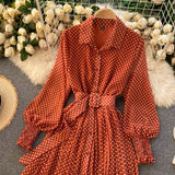 Fashionable A Line Polka Dot Long Sleeve Dress Fashion Dress HZ1023