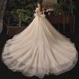 Champagne tulle sequins long ball gown dress formal dress HZ1023