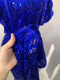 Blue Fashion Sparkling Elegant Spaghetti Straps Floor Length Sexy Slit Sequin Ball Gown Evening Gown Party Dress Prom Gown HZ1023