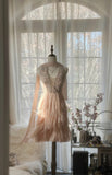 Pale Pink Tender Romantic Sweet Cute Gorgeous Exquisite Elegant Beaded Short Chiffon Homecoming Dress Evening Dress Prom Dress Prom Dress Birthday Vacation Party Dress HZ1023