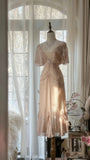 Light Pink Romantic Gorgeous Exquisite Elegant Beaded Long Chiffon Evening Dress Prom Dress Prom Dress Birthday Vacation Party Dress HZ1023