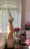 Light Color Elegant Fashion Long Chiffon Ball Gown Evening Dress Birthday/Holiday Party Dress Prom Dress HZ1023