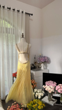 Light Yellow Gorgeous Shiny Fashion Elegant Exquisite Beaded Long Tulle Backless Fairy Ball Gown Evening Dress Birthday/Wedding Guest/Holiday Party Dress Prom Dress Valentine's Day Date Dress HZ1023