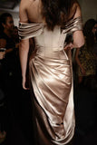 Brown retro fashion tight off-the-shoulder short sleeve floor-length train long satin ball gown evening dress party dress HZ1023