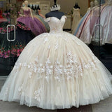 Champagne gorgeous exquisite lace applique off-shoulder long quinceanera dress 15 years old prom dress debutante dress prom dress HZ1023