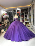 Purple Gorgeous Exquisite Beaded Long Tulle Fashion Ball Gown Evening Dress HZ1023