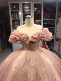 Champagne pink sweet shiny gorgeous elegant long ball gown evening dress princess adult ceremony ball gown HZ1023