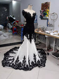Black gorgeous exquisite lace V-neck backless long floor-length trailing satin sexy elegant ball gown evening dress wedding dress HZ1023